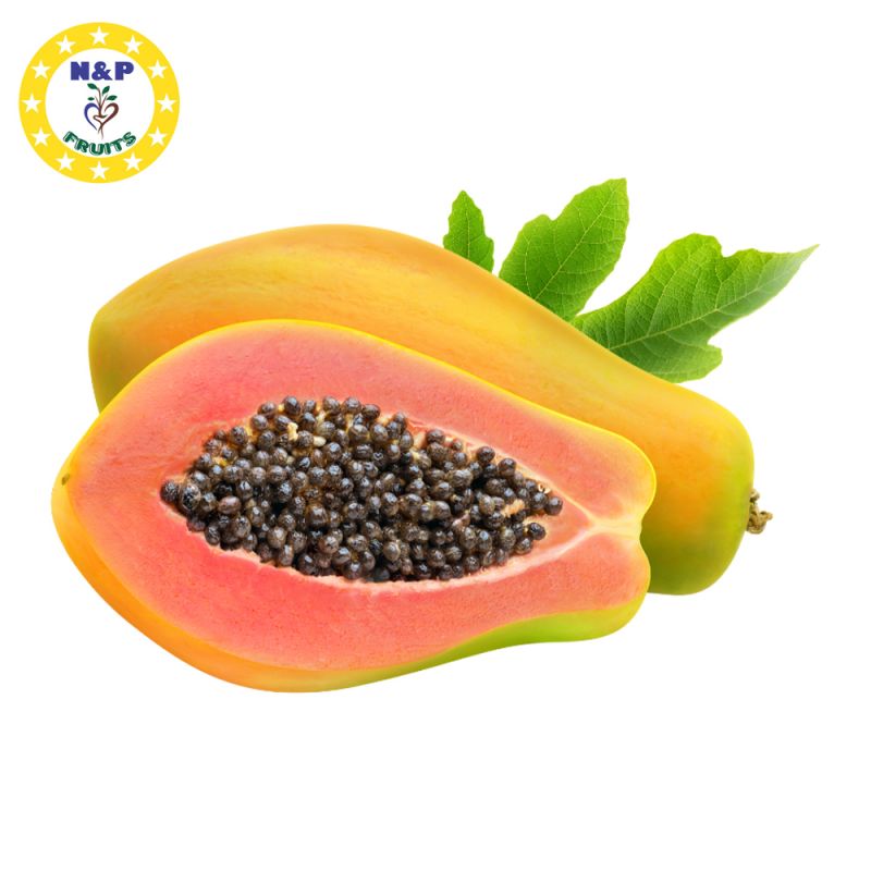 Papaya